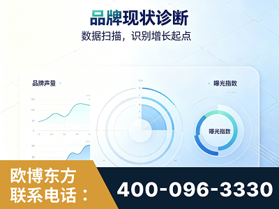 清远-品牌现状诊断